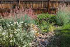 2025 Photo Contest, 2nd Place, Native Plant Garden