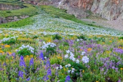 2025 Landscape Category, 1st Place