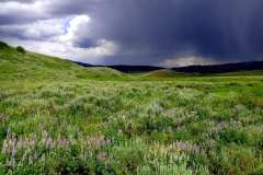2025 Landscape Category, Tie for 3rd Place