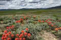 2025 Landscape Category, Tie for 3rd Place