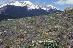 The Gore Range