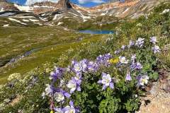 Ice Lake Trail