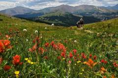 Black Powder Pass