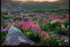 Jones Pass