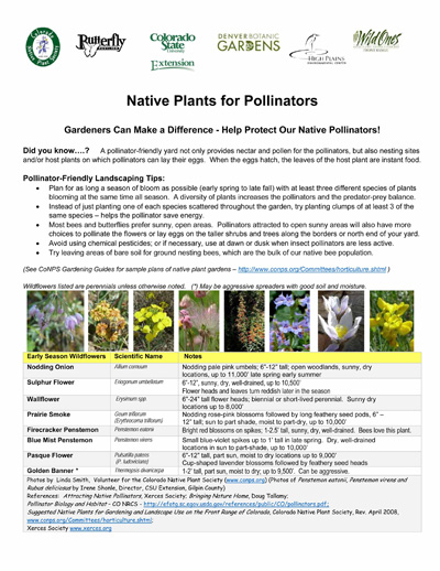 Native-Plants-for-Pollinato