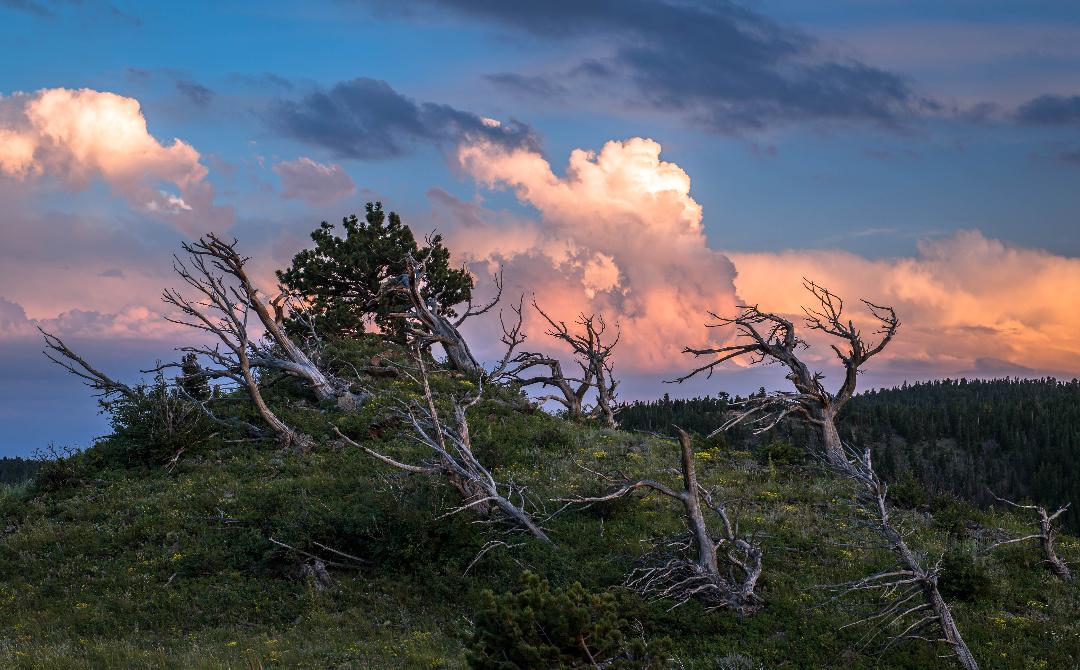 2019 Photo Contest, 1st Place Landscape Category