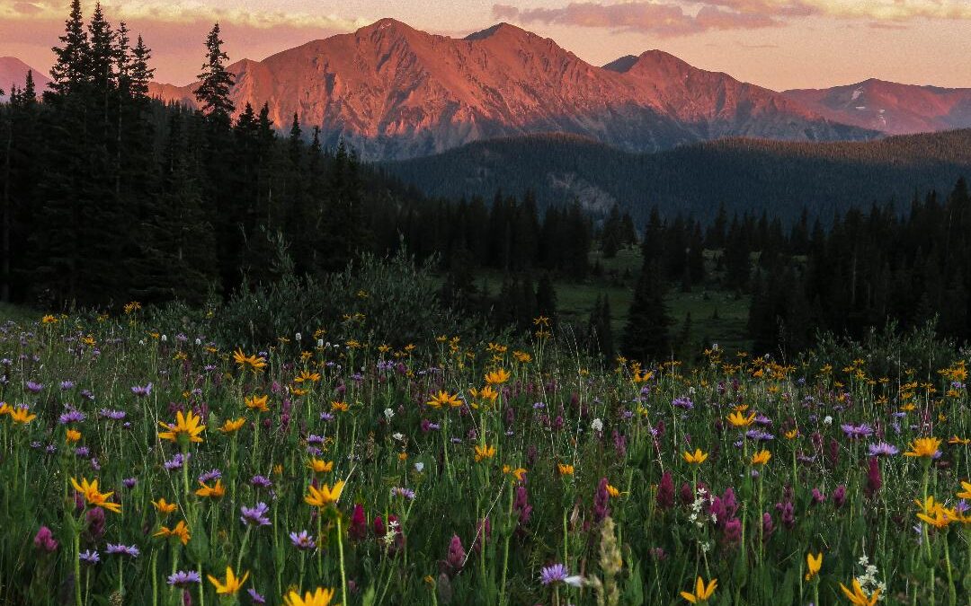 2019 Photo Contest, 2nd Place tie, Landscape Category