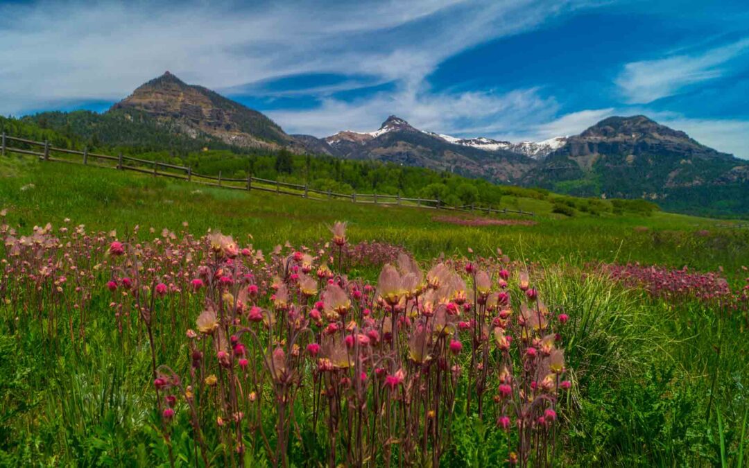 2019 Photo Contest 2nd Place Tie, Landscape Category