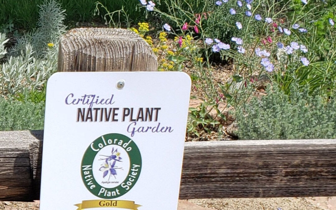 Certified Native Plant Garden