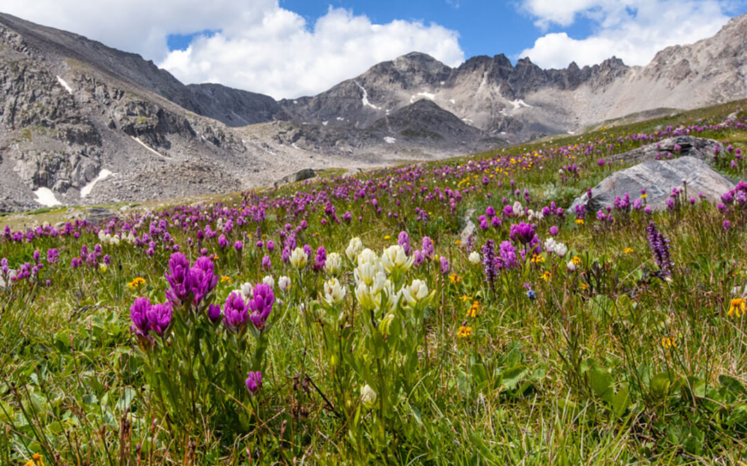 2020 Photo Contest, 2nd Place, Landscape Category