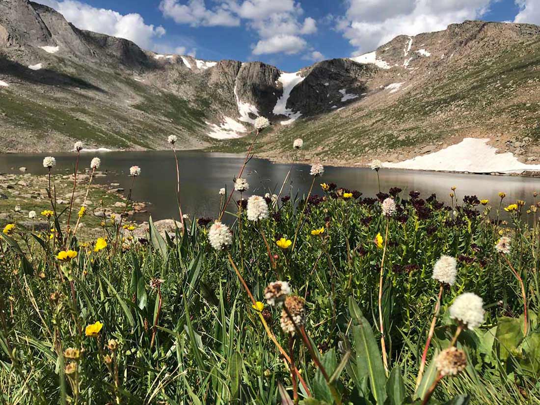 2020 Photo Contest, 3rd Place (tie), Landscape Category a photo of Summit Lake with bistort and alpine avens in the forground