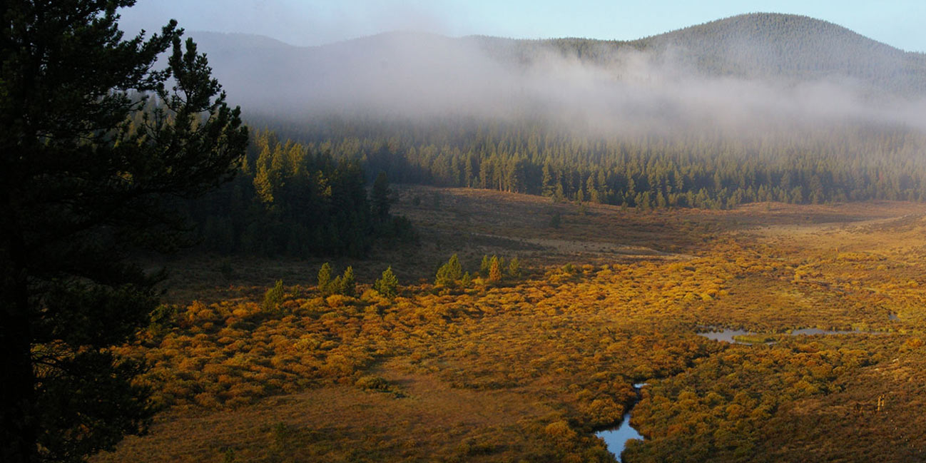 photo of a trail going through a meadow in East Lost Park