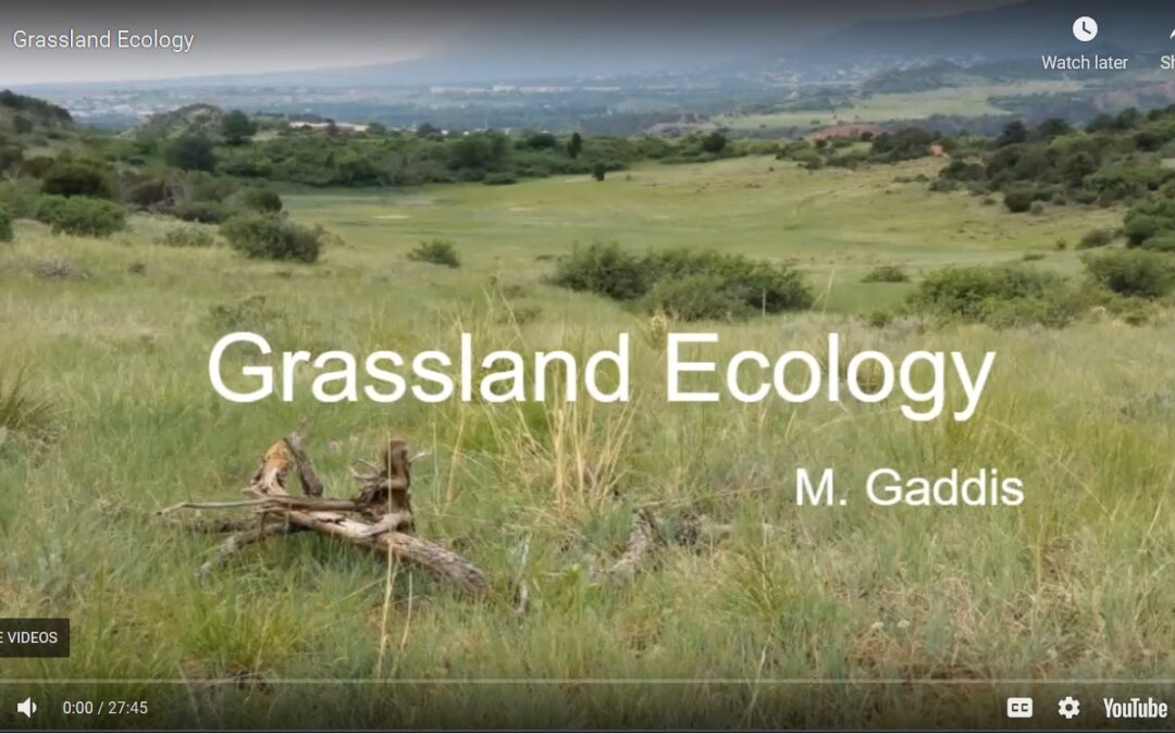 Grassland Ecology