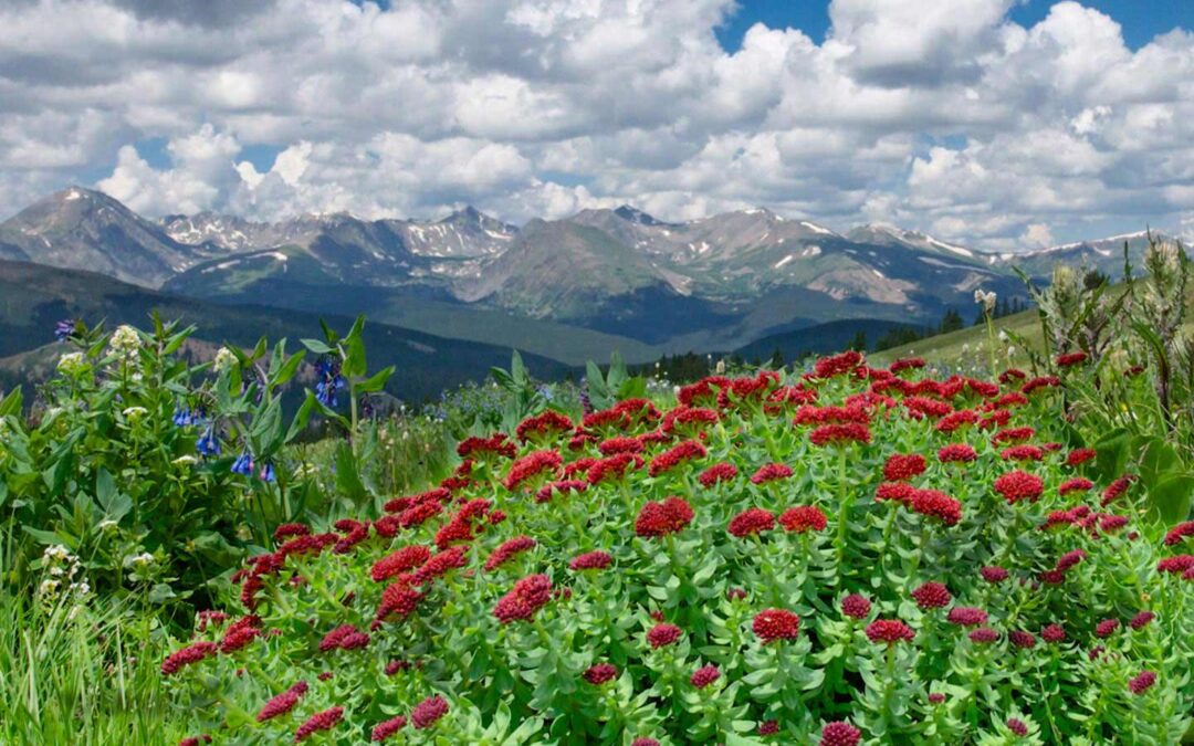 2017 Photo Contest tie 2nd place Tie, Landscape Category