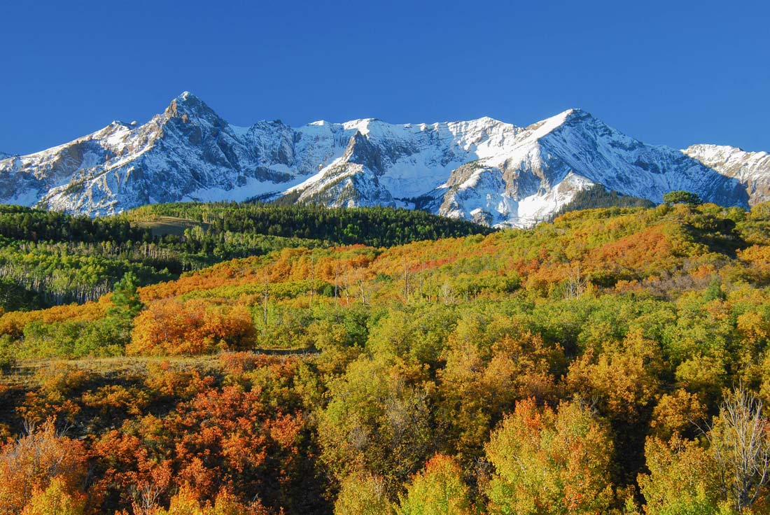 photo of snow capped mountains and orange-leaved aspens in the valley