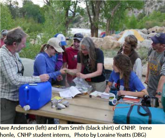 Browns Canyon Bioblitz