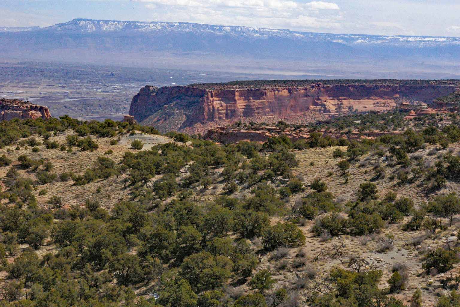 Colorado Plateau Shrublands