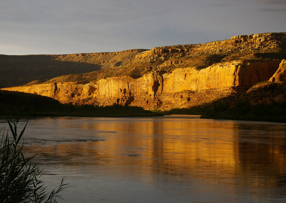 Colorado River Mo Ewing