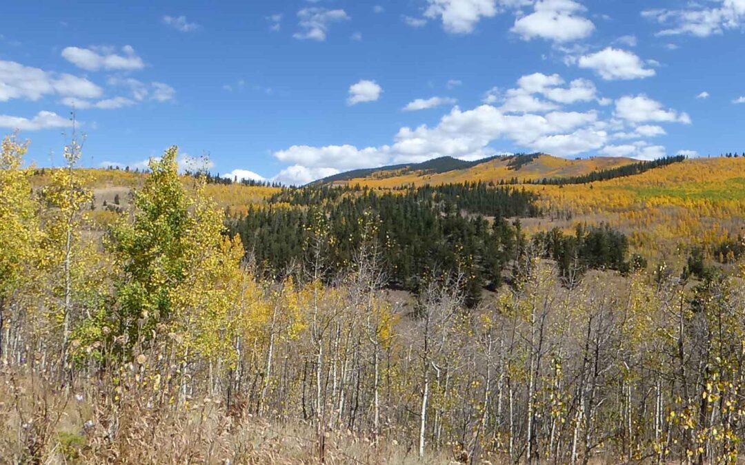 Kenosha Pass Mo Ewing