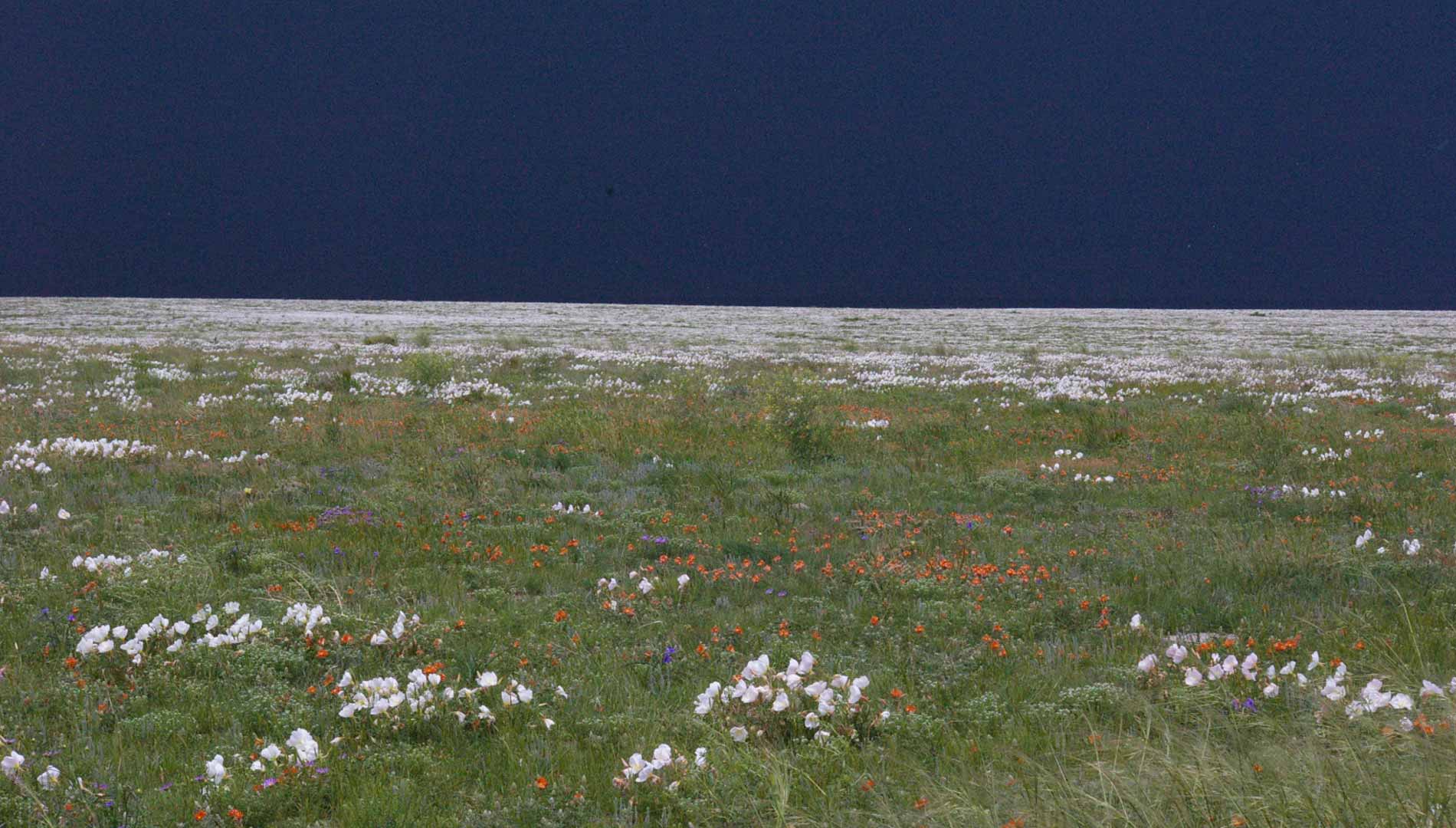 photo of pawnee national grasslands during summer storm