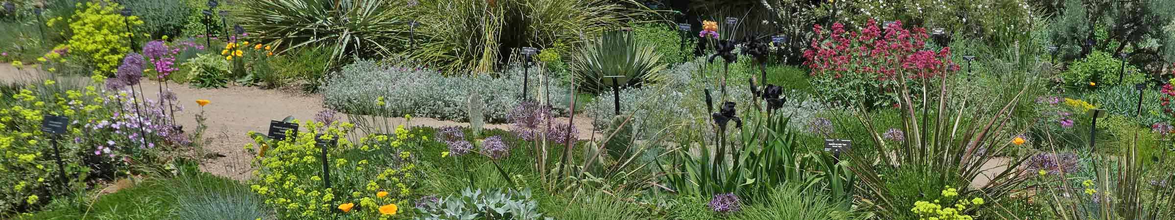 Gardening With Native Plants Nova Scotia