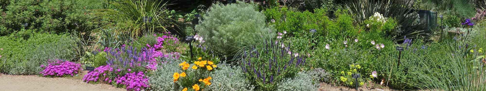 Denver Botanic Gardens 2