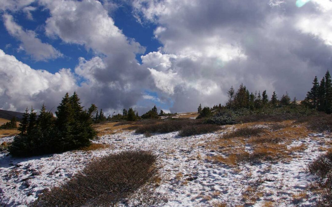 Spruce-fir Islands, Georgia Pass