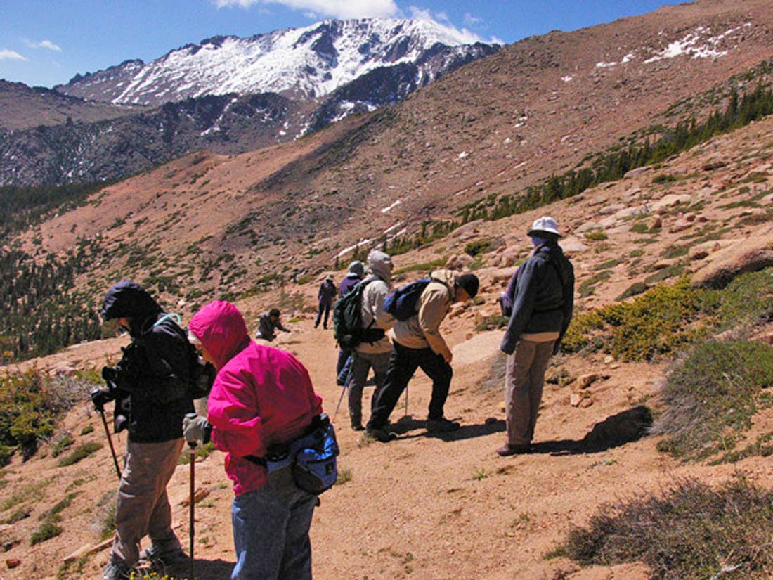 a photo of volunteers looking at native plants