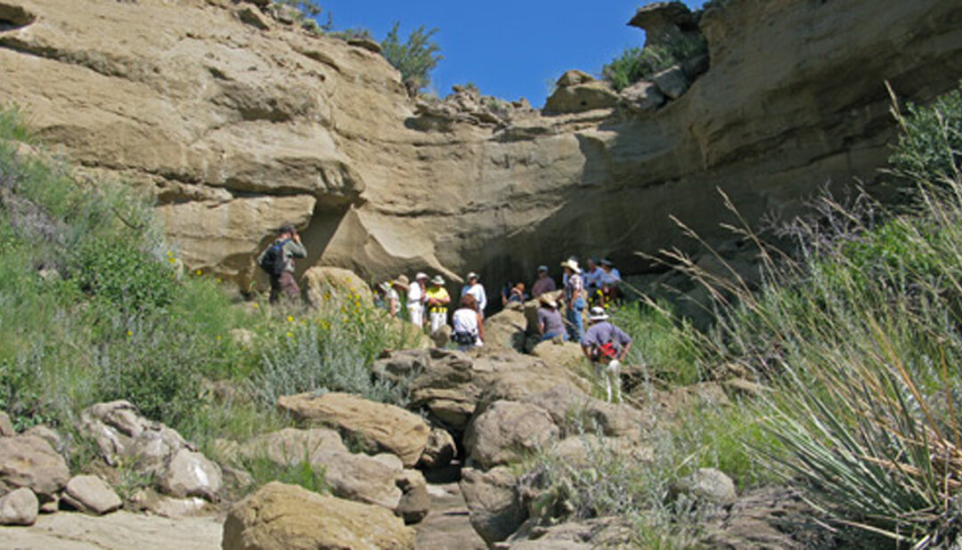 Coral Bluffs Field Studies