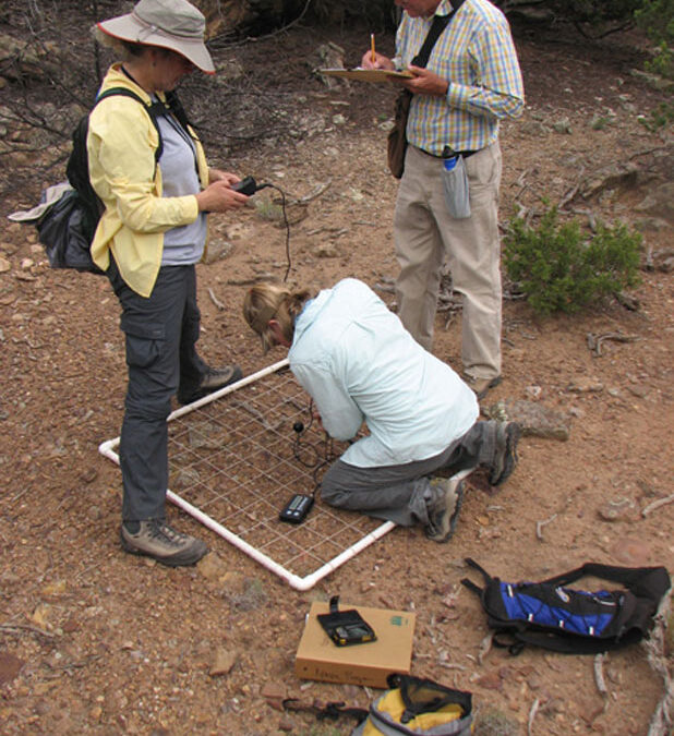 Volunteers monitoring rare plants