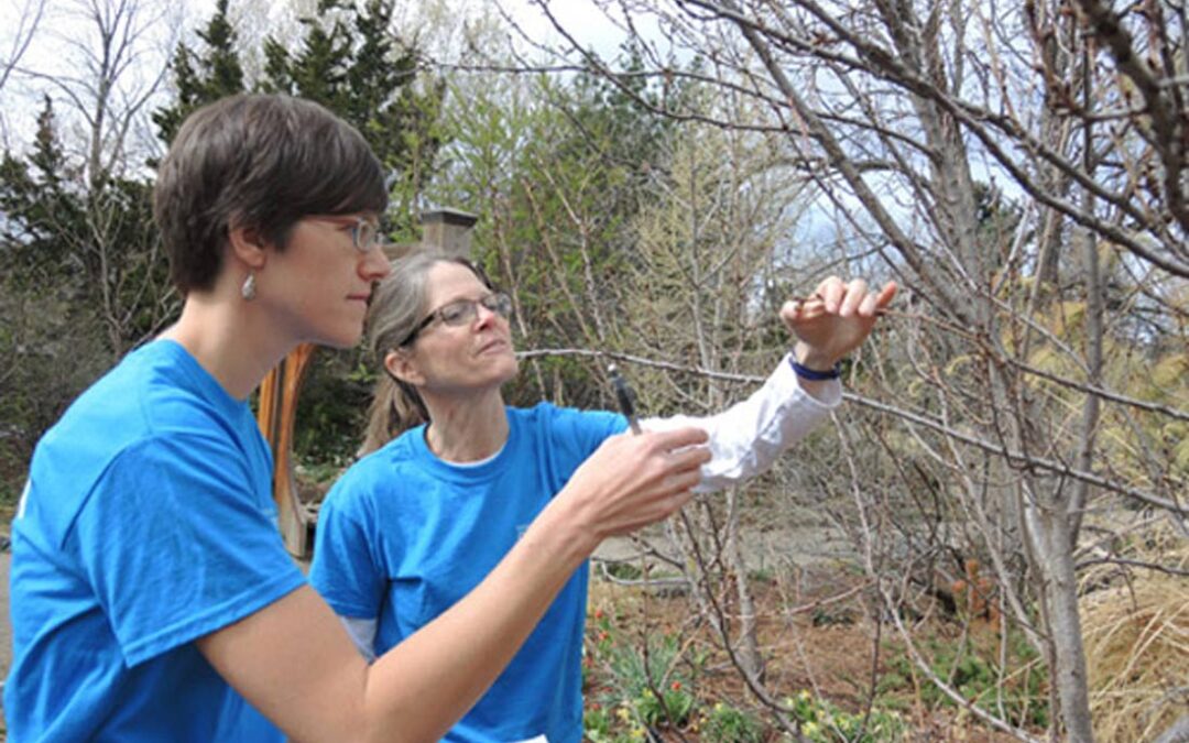 Peggy Hanson & Jen Toews studying phenology