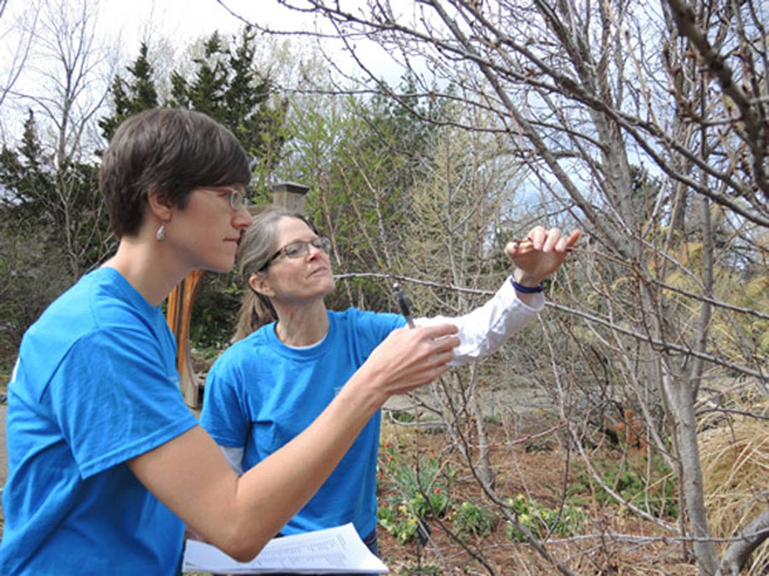 Peggy Hanson & Jen Toews studying phenology