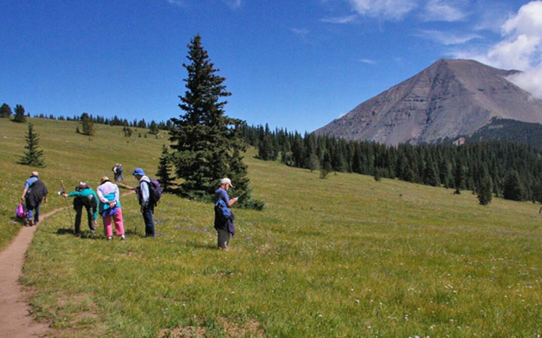 Spanish Peaks Field Trip