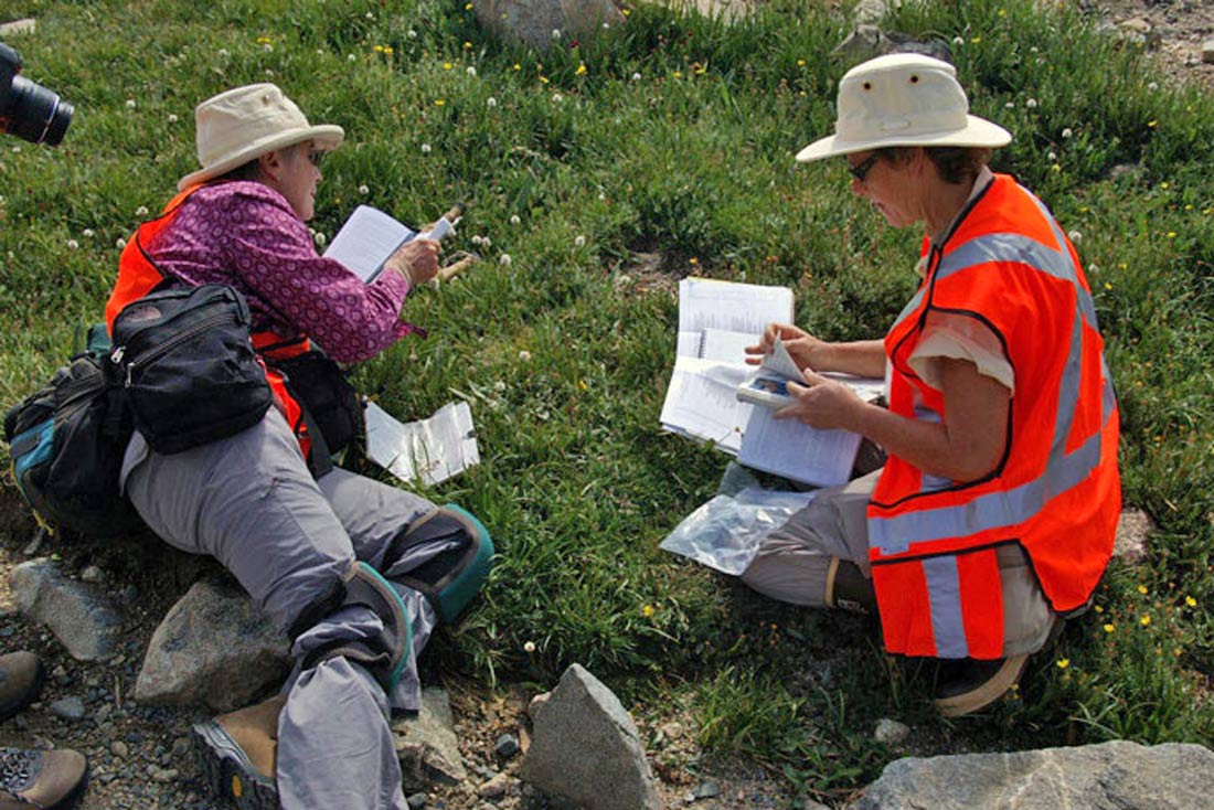 two conps volunteers studying plants