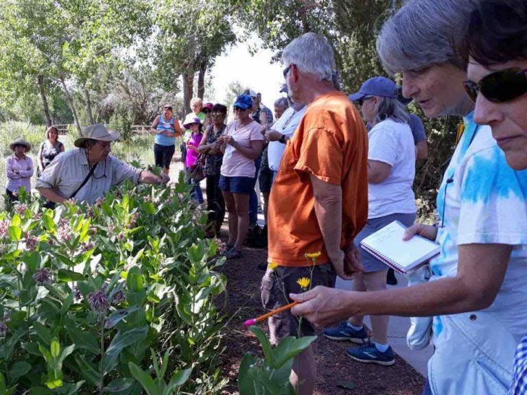 Edible, Medical and Useful Plants