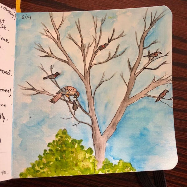 Nature Journaling - Drawing Ideas For Spring  Nature journal, Nature  sketch, Nature drawing