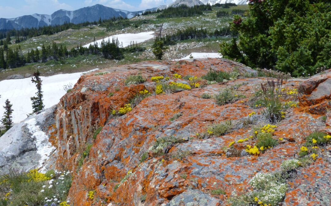 Snowy Range of WY