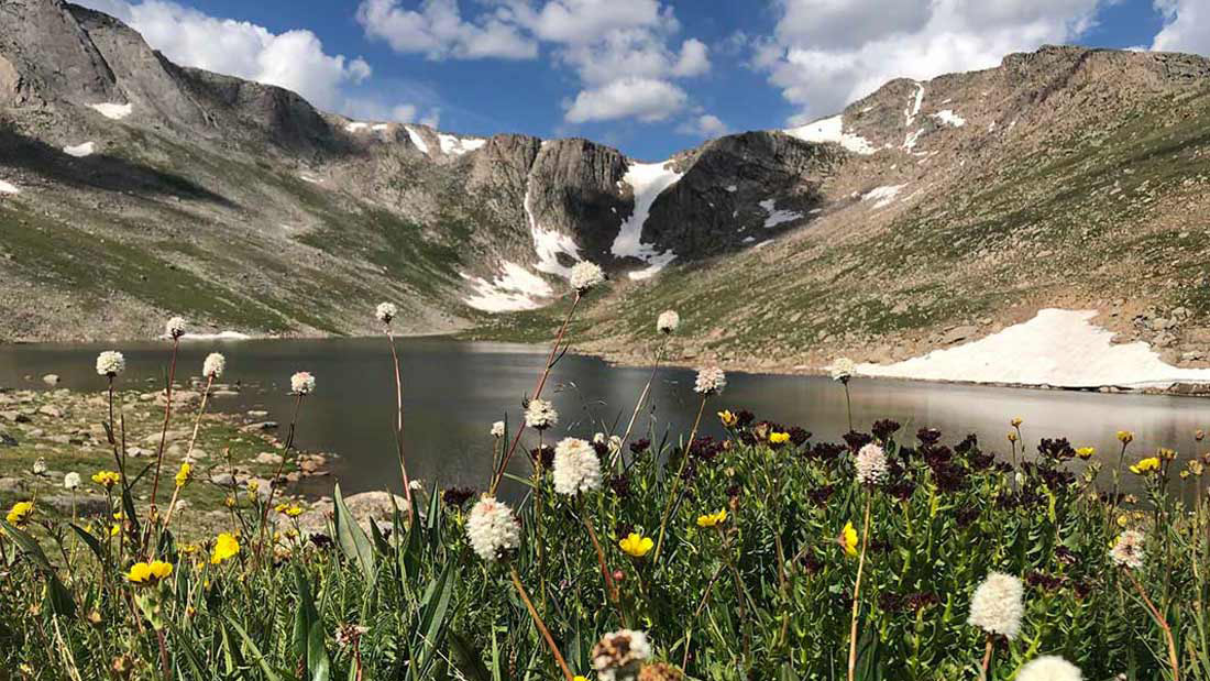 a photo of Summit Lake in summer