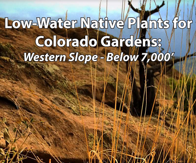 low water guide western slope