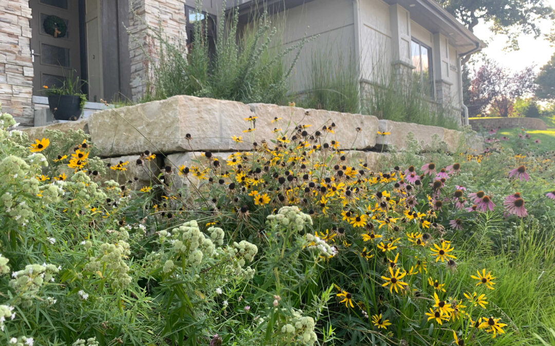 Native Plant Garden