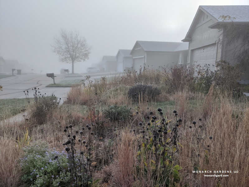 Native Plant Garden