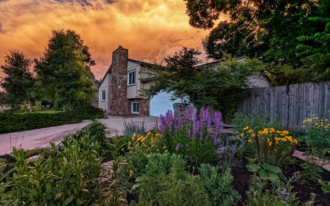 2024 Photo Contest, 2nd Place (tie), Garden Category