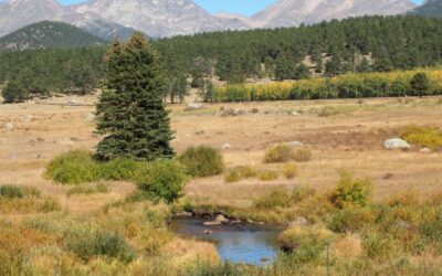 Wetlands Restoration at Rocky Mountain National Park