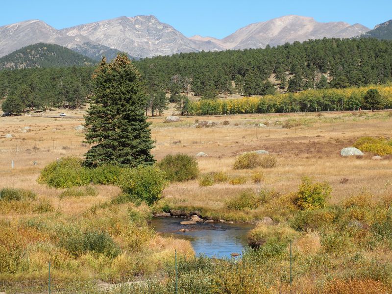 Wetlands Restoration at Rocky Mountain National Park