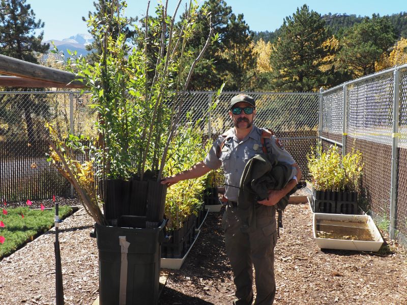 plant nursery at Rocky Mountain National Park