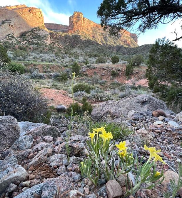 Monument Canyon