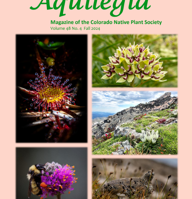 Aquilegia cover 48.4