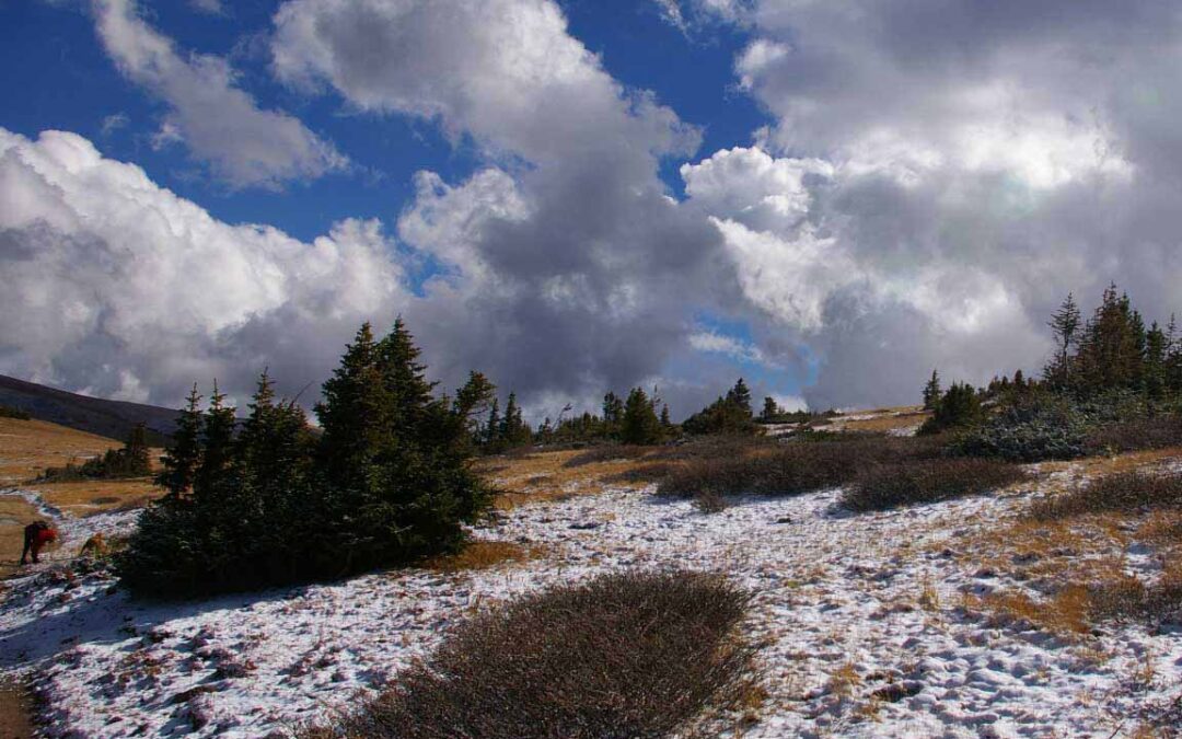 Georgia Pass