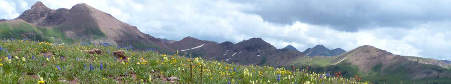 photo of kenosha pass and aspens in fall