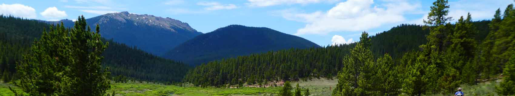 photo of kenosha pass and aspens in fall